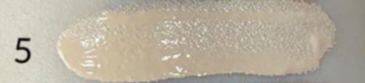 کانسیلر مایع گابرینی Gabrini Liquid Concealer